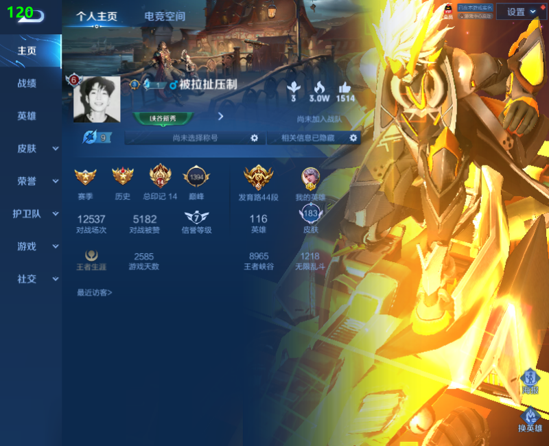 WZPX2126145王者荣耀账号详情图2 WZPX2126145王者荣耀账号详情图2